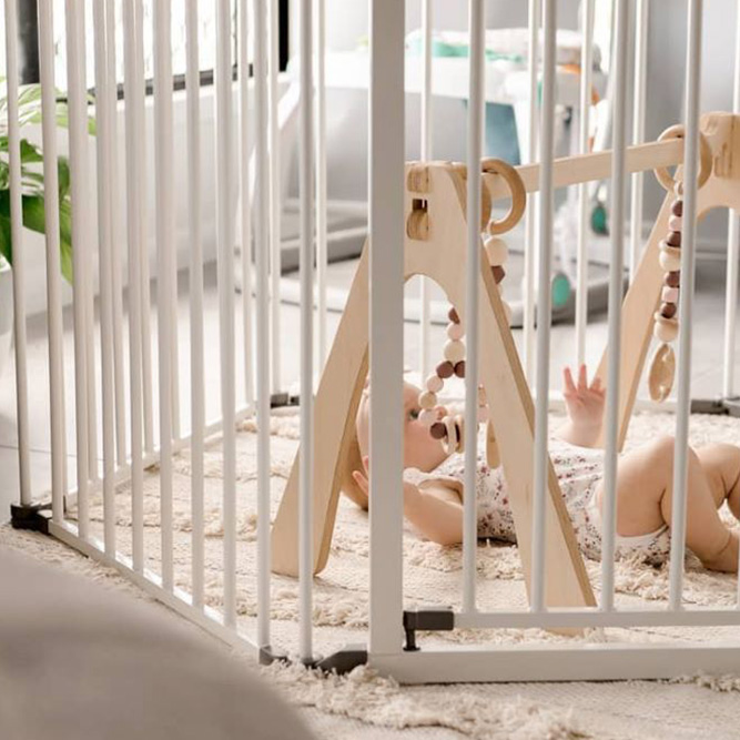 DreamBaby2